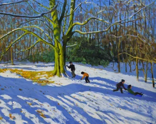 Dettaglio della cima di Allestree Park